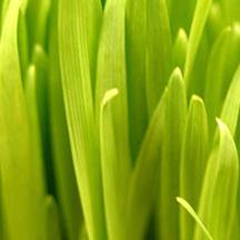 【免root】便捷的黑客软件攻击器手机版