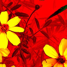 快速解压缩的ddos流量攻击购买