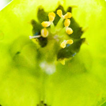 怎么简单攻击一个网站